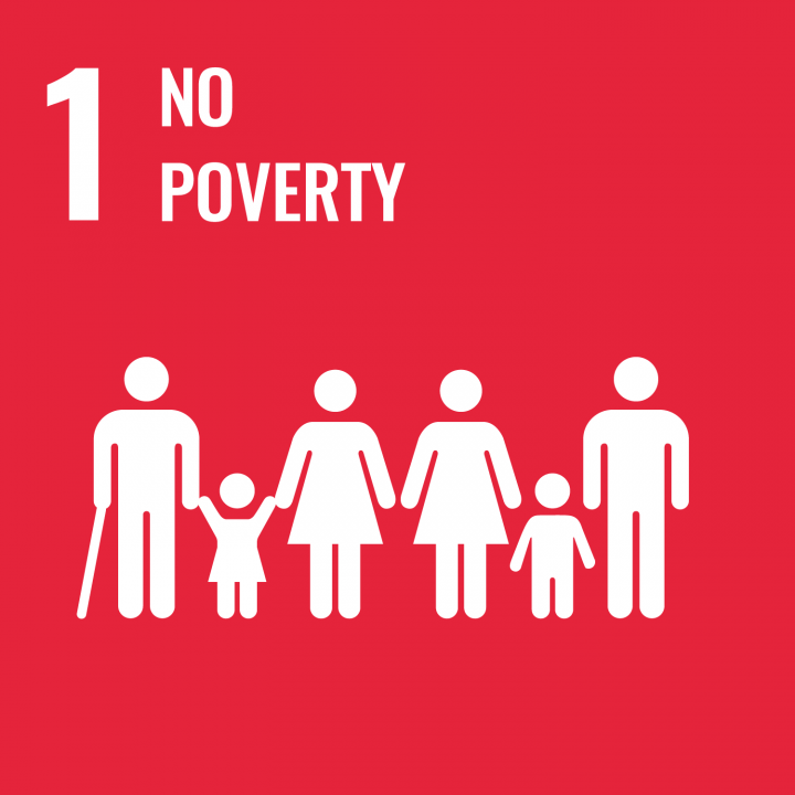 SDG 1 - No Poverty